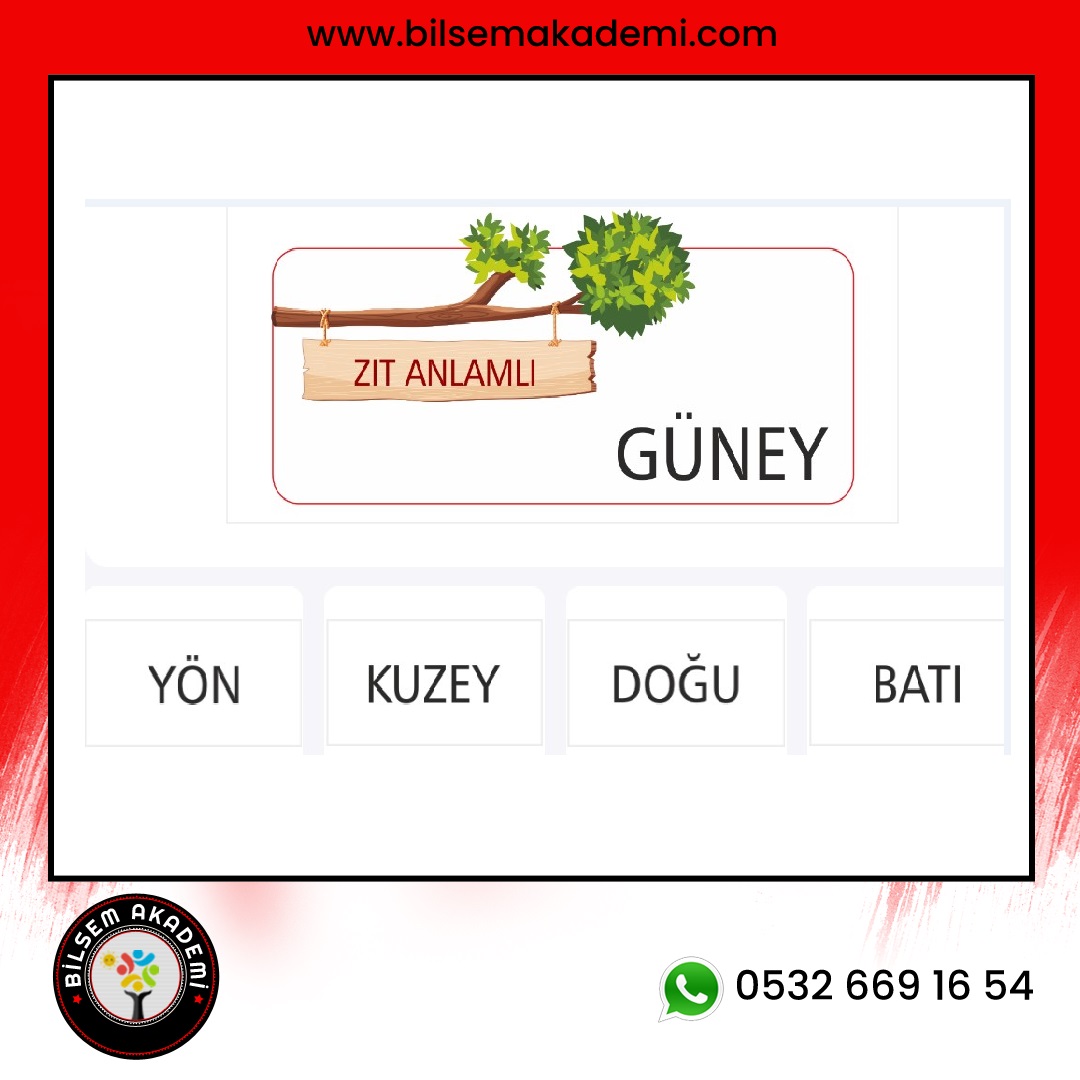 Bilsem Sorulari