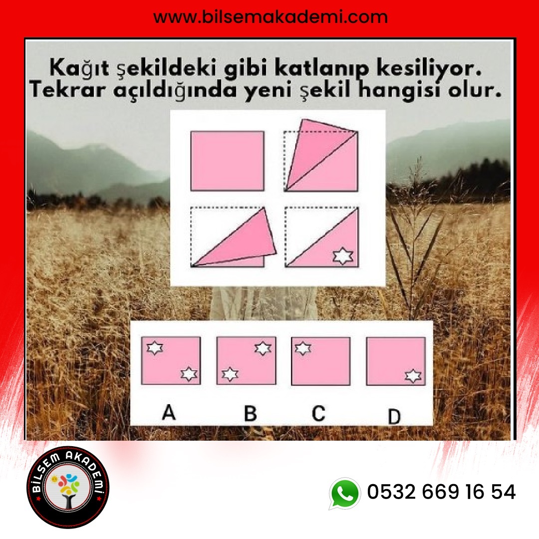 Bilsem Sorulari