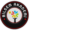 Bilsem Akademi